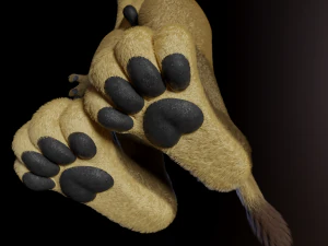 Logan Anthro Lion 3D Model