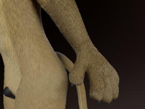 Logan Anthro Lion Modèle 3D