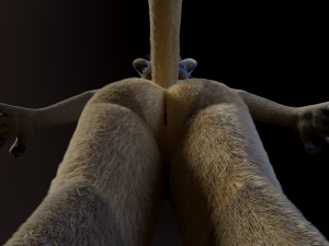 Logan Anthro Lion Modèle 3D