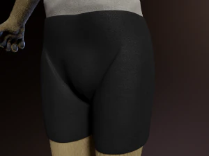 Logan Anthro Lion 3D Model