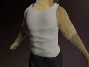 Logan Anthro Lion 3D Model