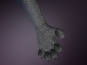Apolo Anthro white lion 3D 模型