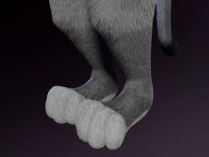 Apolo Anthro white lion 3D Model