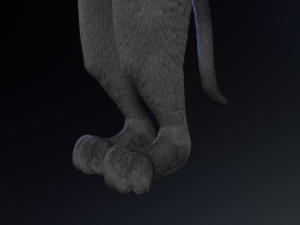 Niko Anthro Panther 3D Model