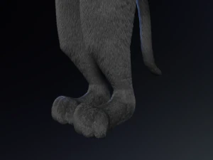 Niko Anthro Panther 3D Model