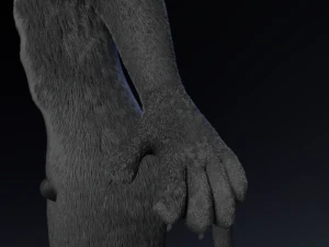 Niko Anthro Panther 3D Model