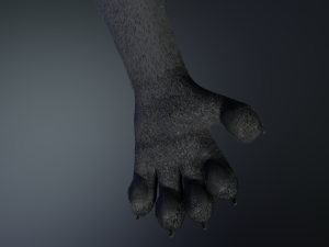 Niko Anthro Panther 3D Model