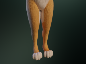 Yara Anthro Fox Modelo 3D