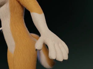 Yara Anthro Fox 3D Model