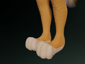 Yara Anthro Fox 3D Model