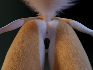 Yara Anthro Fox Modelo 3D