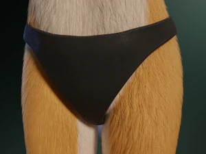 Yara Anthro Fox 3D Model