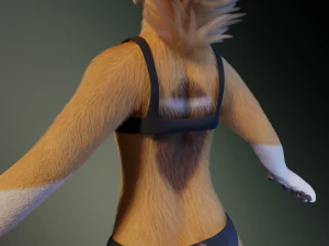 Yara Anthro Fox 3D Model