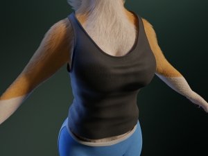 Yara Anthro Fox Modelo 3D