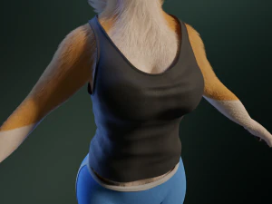 Yara Anthro Fox 3D Model