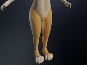 Nara Anthro Fox 3D 모델