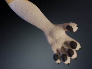Nara Anthro Fox 3D 모델