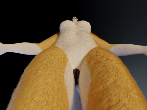 Nara Anthro Fox Modello 3D