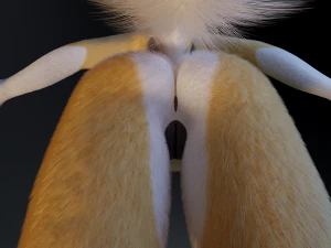 Nara Anthro Fox Modello 3D