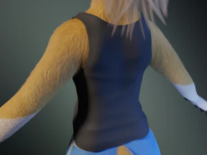 Nara Anthro Fox Modello 3D