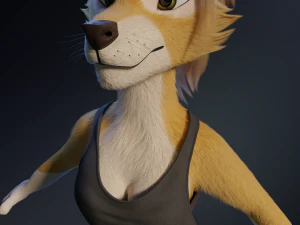 Nara Anthro Fox Modello 3D