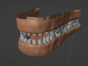 Nara Anthro Fox Modello 3D