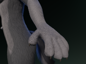 Jennifer Anthro Wolf 3D 모델