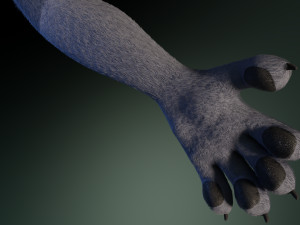 Jennifer Anthro Wolf 3D 모델