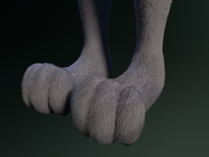 Jennifer Anthro Wolf 3D 모델