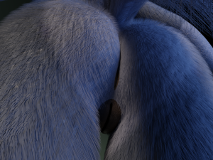Jennifer Anthro Wolf 3D 모델