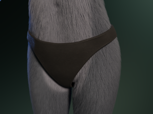 Jennifer Anthro Wolf 3D 모델