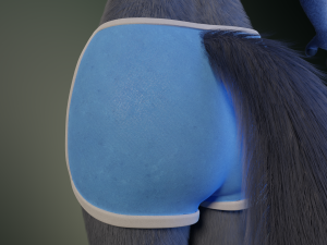 Jennifer Anthro Wolf 3D 모델