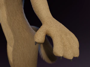 Ashley Anthro Wolf 3D Model