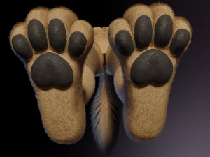 Ashley Anthro Wolf 3D Model