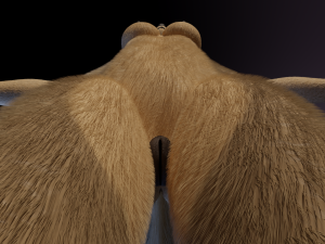 Ashley Anthro Wolf Modelo 3D