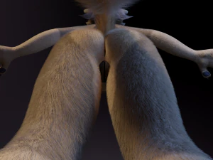 Ashley Anthro Wolf 3D Model
