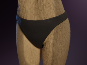Ashley Anthro Wolf Modelo 3D