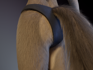 Ashley Anthro Wolf Modelo 3D