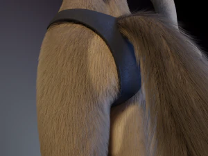 Ashley Anthro Wolf 3D Model