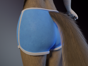 Ashley Anthro Wolf Modelo 3D