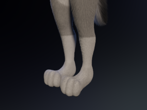 Eva Anthro Wolf Modèle 3D