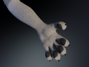 Eva Anthro Wolf Modèle 3D
