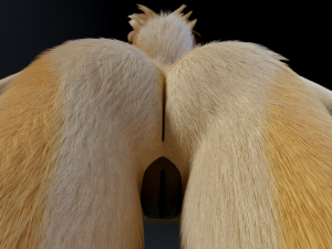 Alexa Anthro Rabbit Modèle 3D