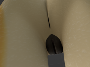 Alexa Anthro Rabbit Modèle 3D