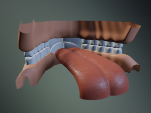 Alexa Anthro Rabbit Modèle 3D