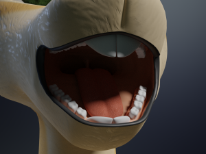 Alexa Anthro Rabbit Modèle 3D