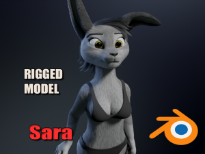Sara Anthro Rabbit 3D Model