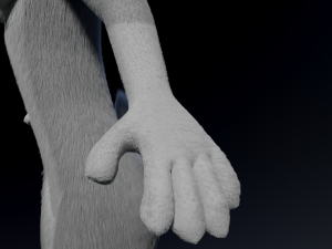 Sara Anthro Rabbit 3D 模型