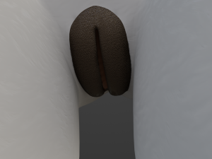Sara Anthro Rabbit 3D 模型