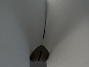 Sara Antro Coniglio Modello 3D